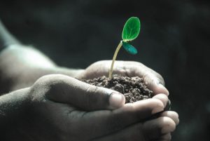 庭に生える苔の対策方法とは 苔が生える前にしっかり対策しよう これちょっと気になる