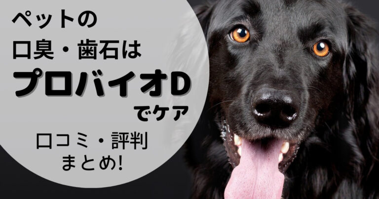 ペットの口臭・歯石はプロバイオDでケア